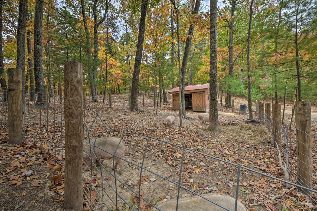Matt Dillon Cabin About 1 Mile To Raystown Lake! Huntingdon Buitenkant foto