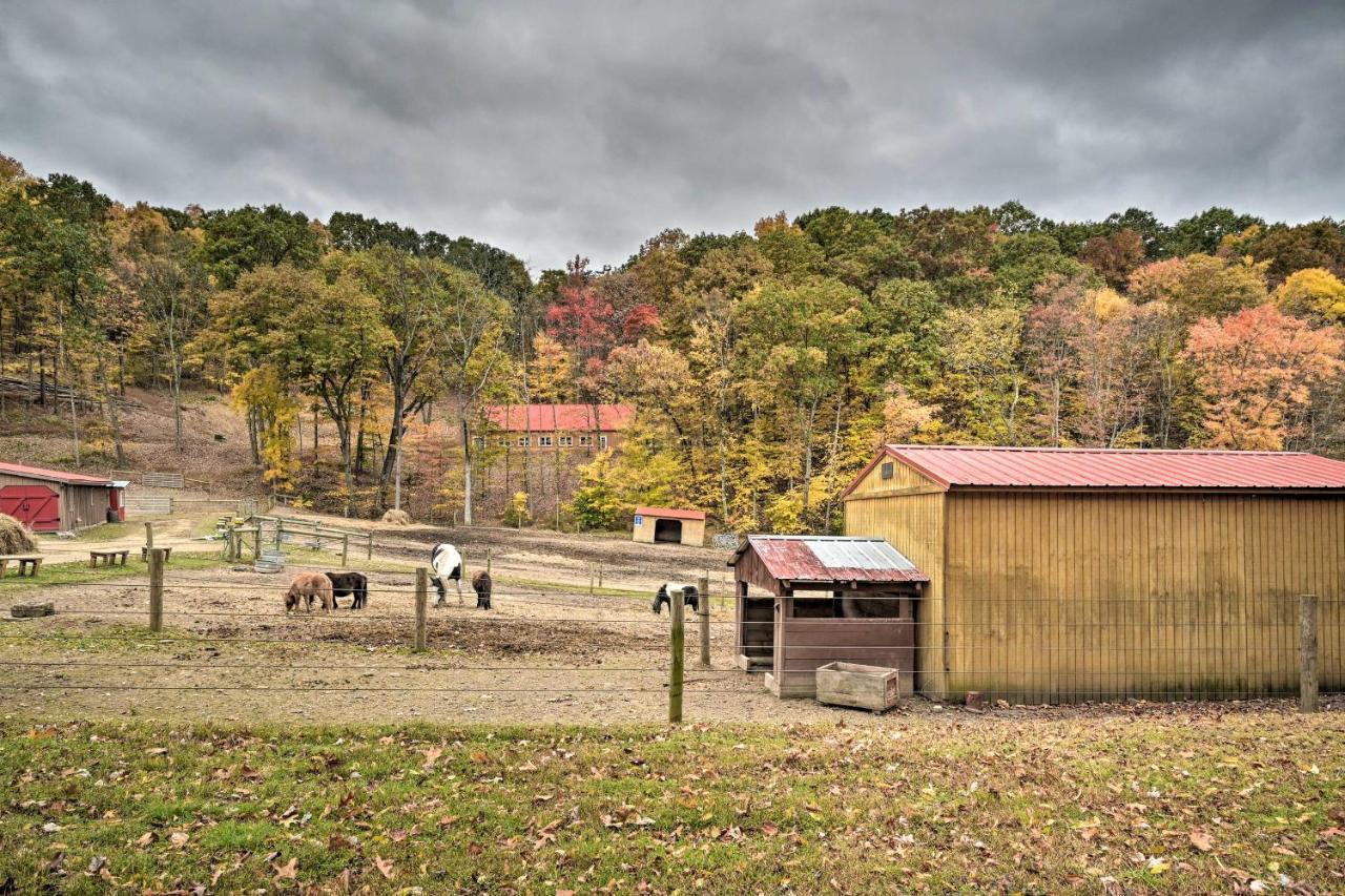 Matt Dillon Cabin About 1 Mile To Raystown Lake! Huntingdon Buitenkant foto